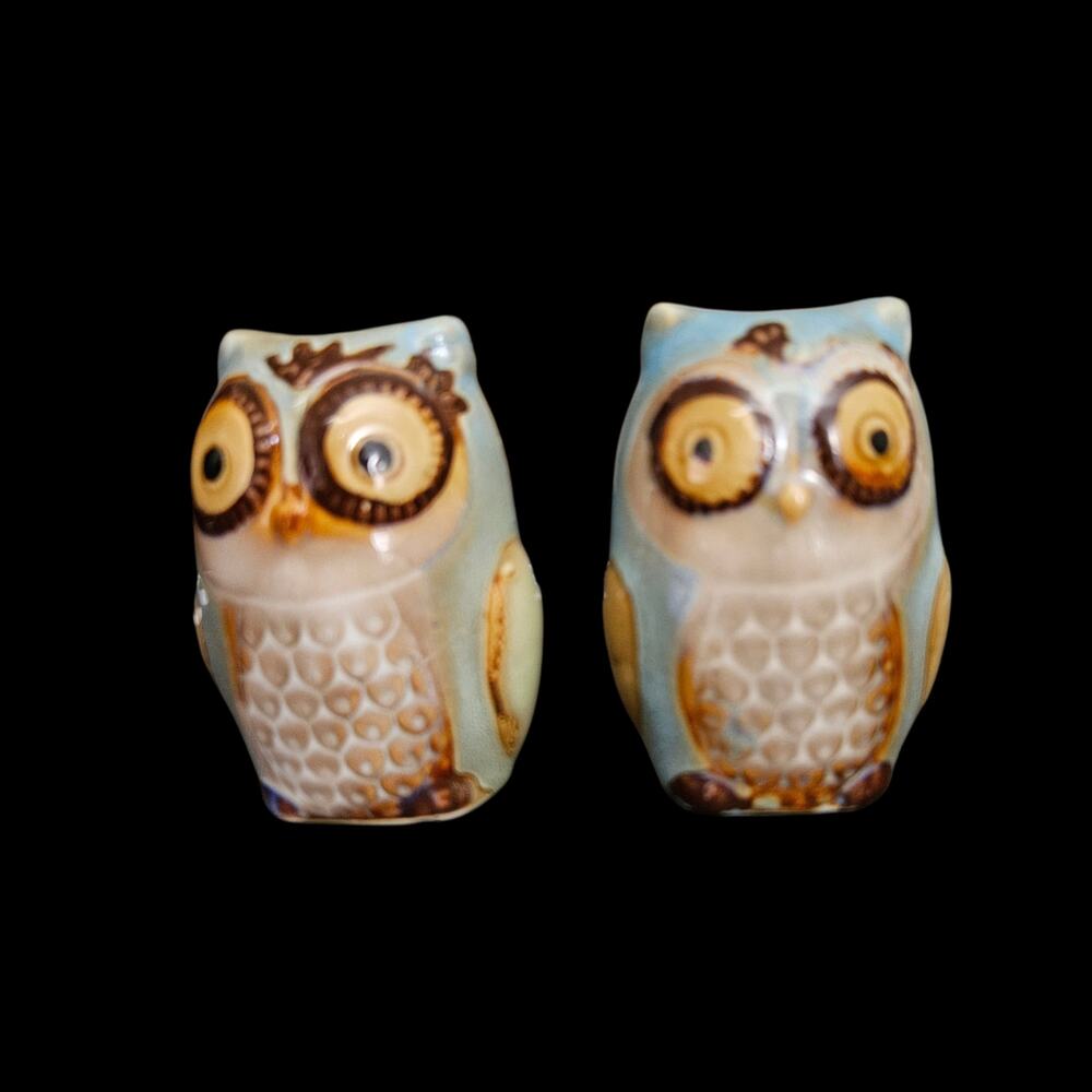 Vintage Ceramic Owl Salt Pepper Shakers Hand Painted Figural Pair
